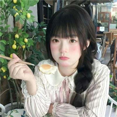 雨树之国